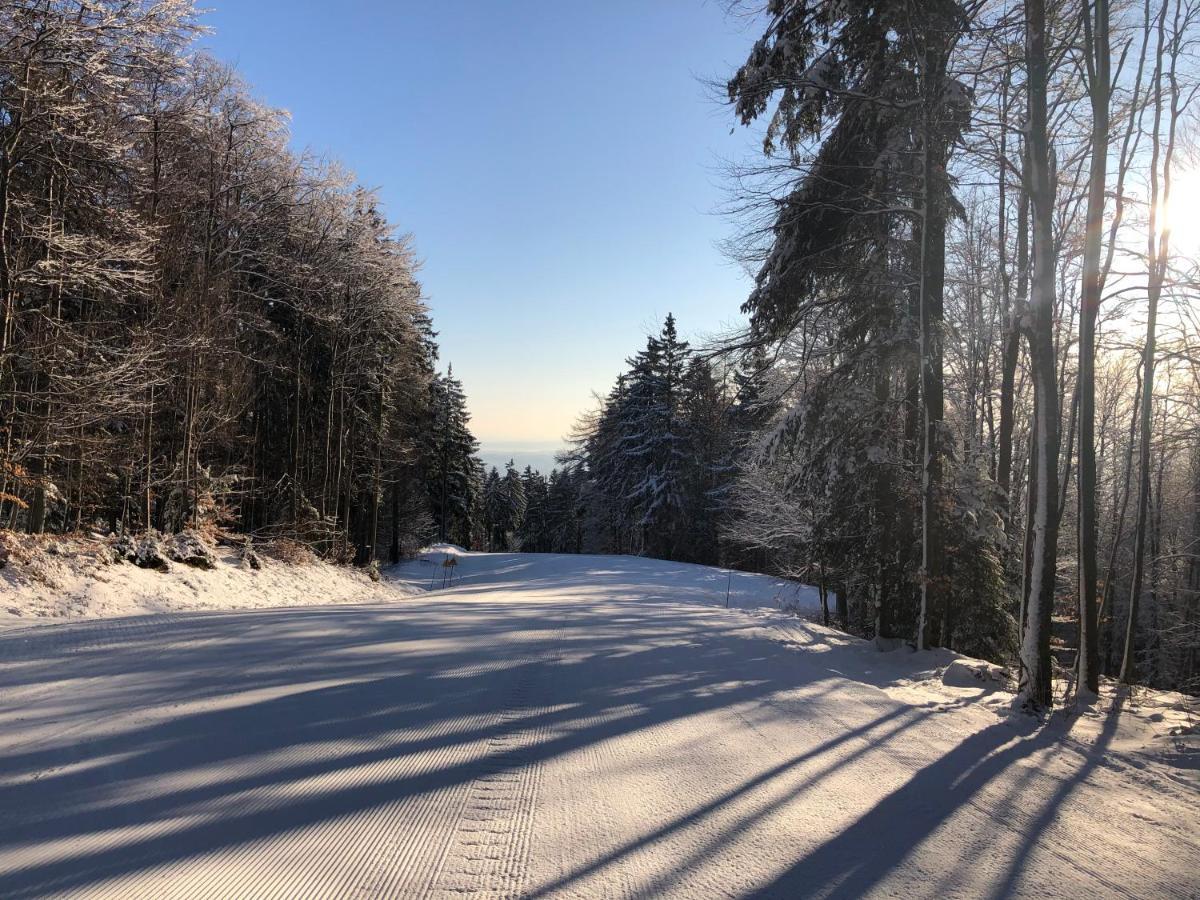 Chalet Anra Pohorje Zgornje Hoce Exterior photo
